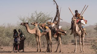 Amazing Mat Tents of North Ethiopia  Danakil Desert Dwellers [upl. by Cindi]