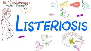 Listeriosis disease  Listeria Food Poisoning  Microbiology 🧫 amp Infectious Disease [upl. by Riker]