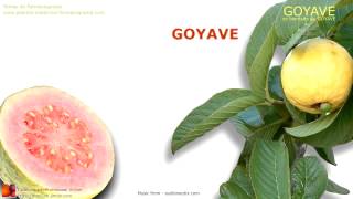 GOYAVE Les bienfaits du GOYAVE [upl. by Eenwahs]