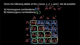 How to find all possible combinations of alleles and genotypes [upl. by Annawoj]