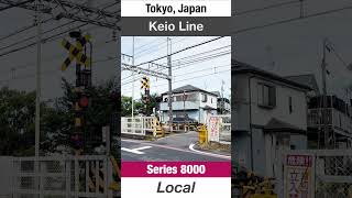 Railroad Crossing  Keio Line  Train Video for Kids [upl. by Elinad]