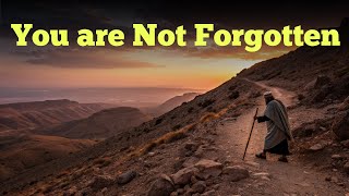 You are not forgotten Luke 15 The Lost Sheep Parable that Speaks to you [upl. by Sklar]