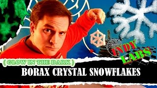 Glow In The Dark Borax Snowflakes  Indy Labs 6 At Home DIY Holiday Science [upl. by Hay879]