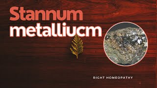 Stannum metallicum  HERF  Right Homeopathy [upl. by Wyck738]