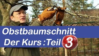 Obstbaumschnitt Der Kurs  Obstbaum schneiden Schritt für Schritt erklärt  Teil 3 [upl. by Ailey683]