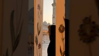 Pacification at the Sheikh Zayed Mosque🕌 [upl. by Harrat]