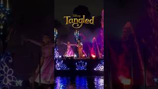 Rapunzel and Flynn in Fantasmic at Disneyland disneyland rapunzeltangledenredadosdisney [upl. by Rednal]