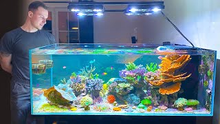 GERMAN REEF TANKS  quotDesigner Shallow Coral Reefquot  800 liter  215 gallon aquarium [upl. by Eneg]