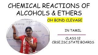 Chemical Reactions Of Alcohols Phenols amp Ethers In Tamil Class 12 Hydroxy Compounds OH Cleavage [upl. by Maude]