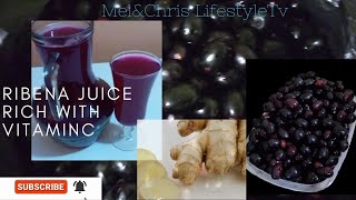 How to make Ribena Juice Rich With Vitamin CBlack Currant juice [upl. by Anilef726]