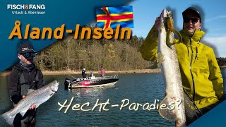 Hechte und Meerforellen auf Åland Spinnfischen zwischen 6000 Inseln 🎣 [upl. by Seed]