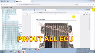 PINOUT ALL ECU BOSCH Continental Delphi Denso FoMoCo Marelli Motorola Sagem Siemens Valeo Visteon [upl. by Connelly402]