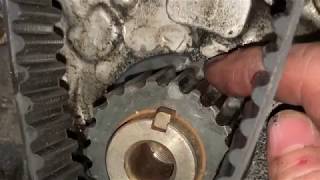 Mazda Protege Timing Belt How To [upl. by Aneda]