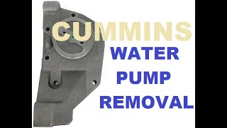 Big Cam IV Cummins water pump removal [upl. by Premer292]