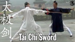 Tai Chi Ball Workout for Beginners by DavidDorian Ross YMAA preview [upl. by Gavrielle]