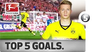 Marco Reus  Top 5 Goals [upl. by Aliehs]