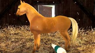 Planet Horse Free video game to download for PC and Mac [upl. by Tena]