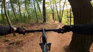 Mountain biking the Dragon Trail  Segment 7 [upl. by Ahsimal]