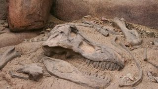 Unearthing Dinosaur Remains  Documentary on Finding Dinosaur Fossils Full Documentary [upl. by Hyacinthie]