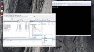 Configuring Delphi for Linux Deployment [upl. by Wack345]