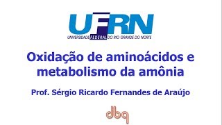 Curso de Bioquimica Oxidação de aminoácidos e ciclo da uréia [upl. by Torruella872]