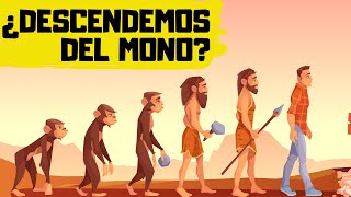 🐒TEORÍA de la EVOLUCIÓN de DARWIN ✅ EXPLICACIÓN RÁPIDA y SENCILLA [upl. by Selhorst33]