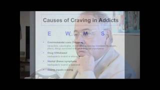 Causes of Craving Addiction 101 A Guide to Addiction Treatment  Preview [upl. by Anirual]