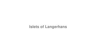 How to Pronounce quotIslets of Langerhansquot [upl. by Westfall]