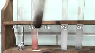 Reactivity of Metals Lab video [upl. by Atnim]