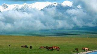 Ayanchin  Mongol Magtaal [upl. by Enimisaj]