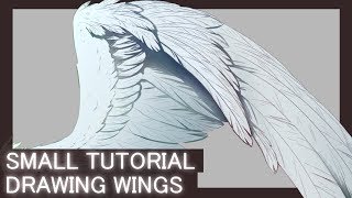 Tutorial How I draw wings [upl. by Drofdeb]