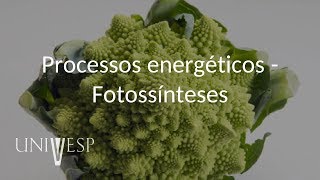 Fisiologia Vegetal  Aula 11  Processos energéticos  Fotossínteses [upl. by Ycnan655]