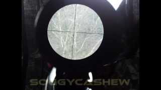 View You Should See Through Rifle Scopes [upl. by Aleahs]