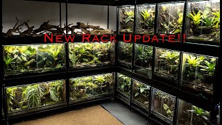 Custom Dart Frog Rack and 300 Gallon Mini Update [upl. by Faludi438]