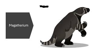 Prehistoric Facts Special 233 Megatherium [upl. by Anawahs79]