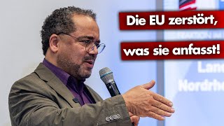 EU zerstört alles was sie anfasst [upl. by Golter20]