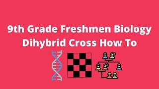 9th Grade Freshmen Biology Dihybrid Cross How To [upl. by Abana]