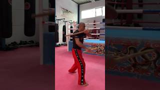 🥋 Sifu Nihat Atamtürk Demonstrations of Martial Arts Techniques [upl. by Inohtna192]