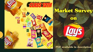 market survey project on lays entrepreneurship class 12 [upl. by Eanwahs]