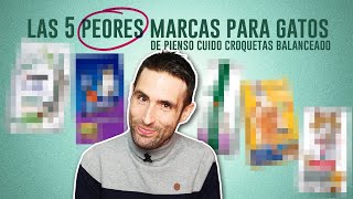 Las 5 PEORES marcas de PIENSO CUIDOCROQUETITAS para GATOS 😾 No son las que esperas 🙀 [upl. by Sonia]