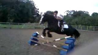 Shire horse jumping [upl. by Pascoe]