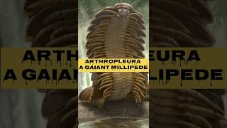 Meet Arthropleura The GIANT Prehistoric Millipede That Ruled Ancient Forestsquot shortsviralfacts [upl. by Ketchan]