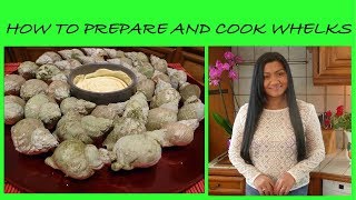 How to Prepare and Cook Whelks  Sea Snails  How to Clean and Cook Sea Snails  Cooking Sea Snails [upl. by Avelin]