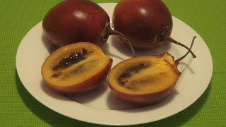 How to Eat Tamarillo Tree Tomato Tamamoro [upl. by Eenert]