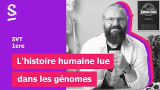 Lhistoire humaine lue dans les génomes  SVT  1ere [upl. by Inalaek301]