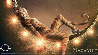 Taylor Swift  Macavity From the Original Motion Capture ‘Cats’ Lyrics [upl. by Sari]