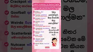 මල හෝන්තුව මල විගඩම කියන හැටි  10 Common Terms for Someone Acting Silly or Foolish shorts [upl. by Yrocej191]