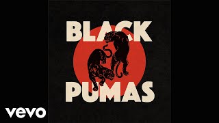 Black Pumas  Touch The Sky Official Audio [upl. by Jimmie]