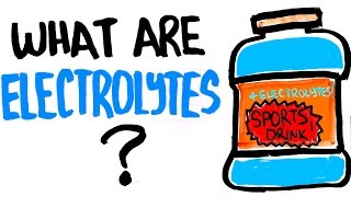 Why You Need Electrolytes  Can It Help With Getting Stronger [upl. by Anaz884]