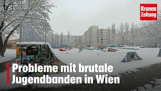 Probleme mit Jugendbanden in Wien  kronetv NEWS [upl. by Sup927]